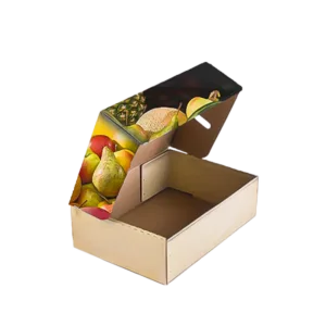 Custom Carton Box - Sky Print and Enterprise