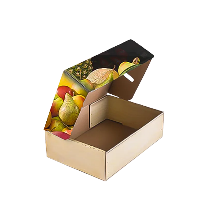 Custom Carton Box - Sky Print and Enterprise